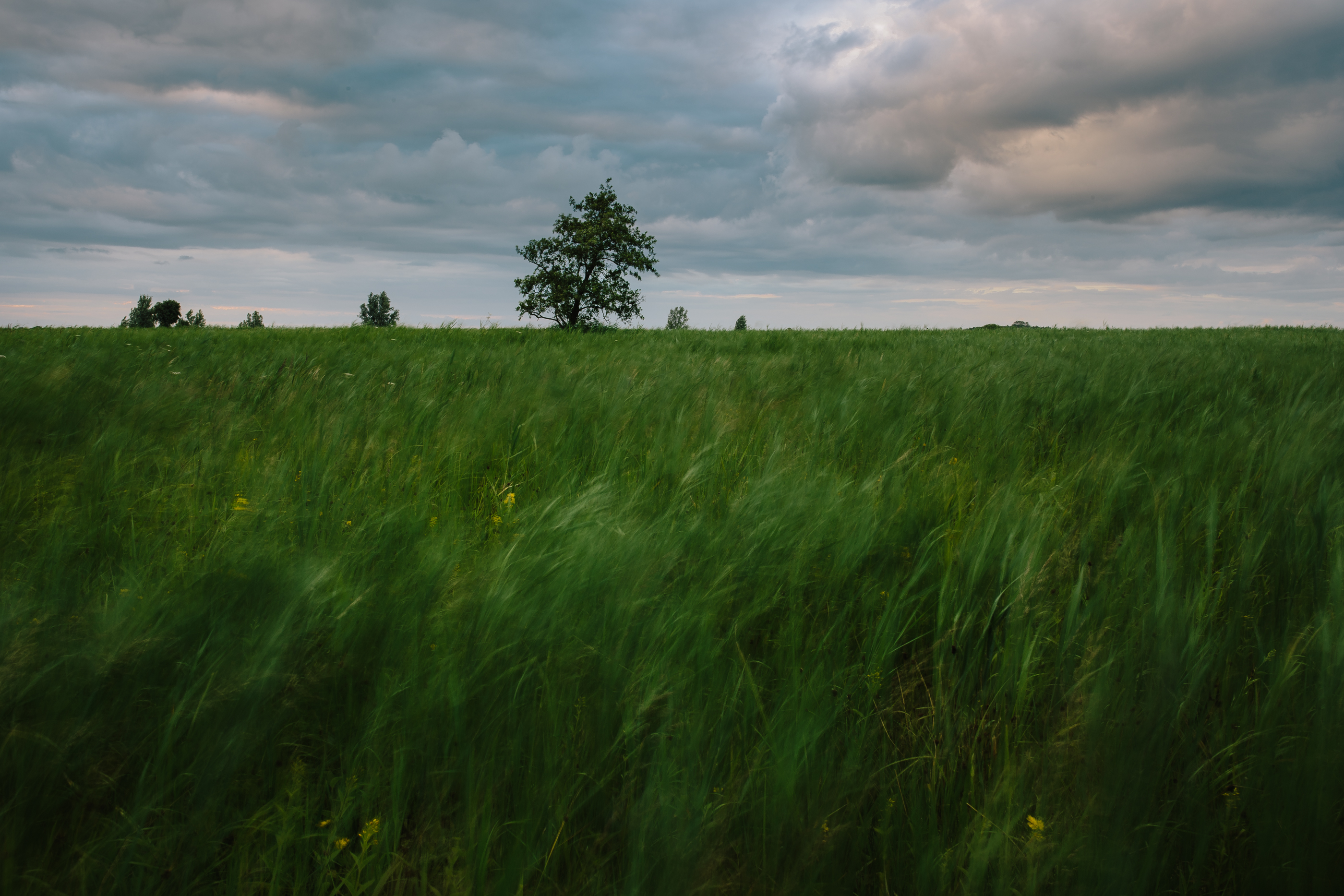 Long Exposure