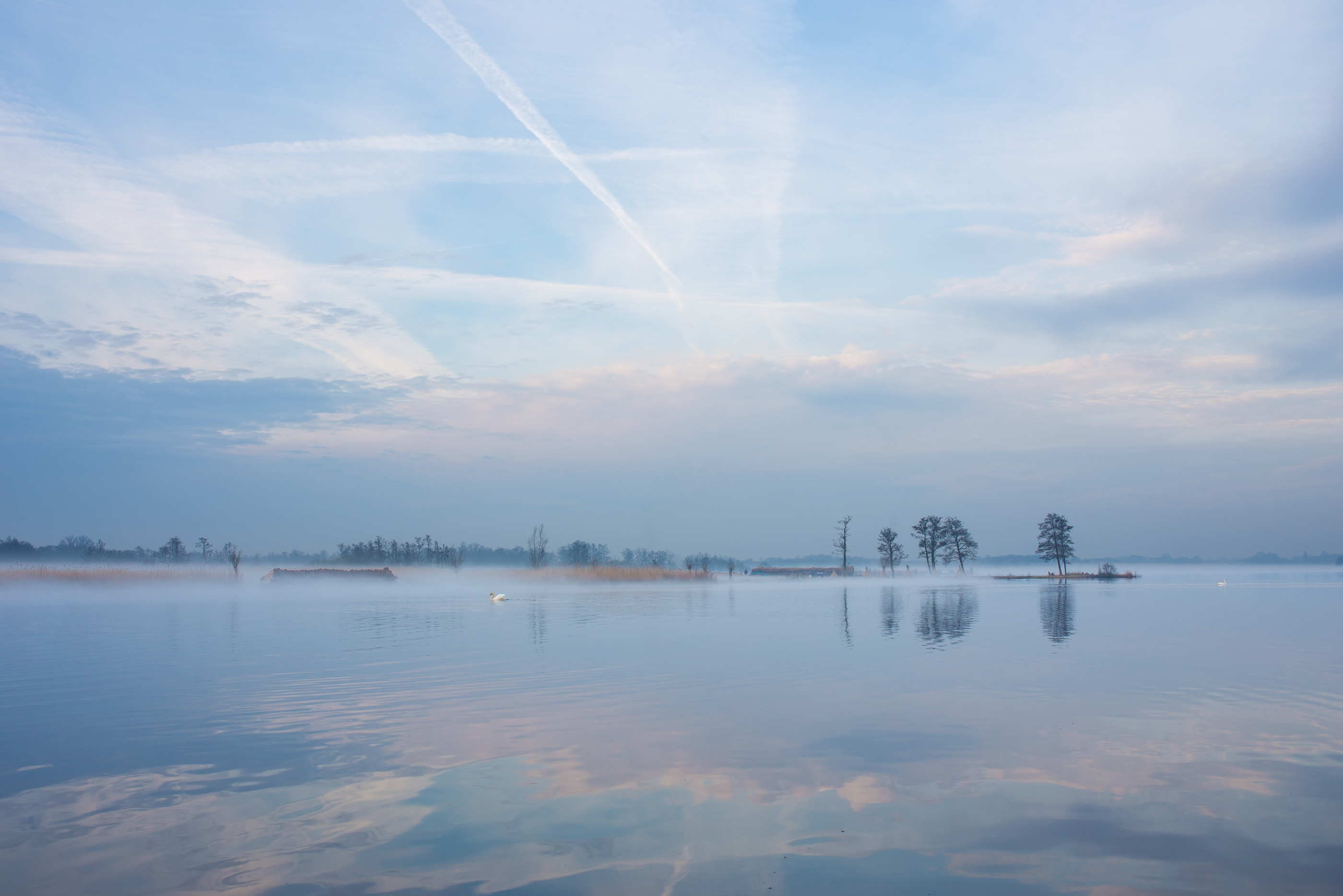 Serene ochtendstilte | Wilko Visscher